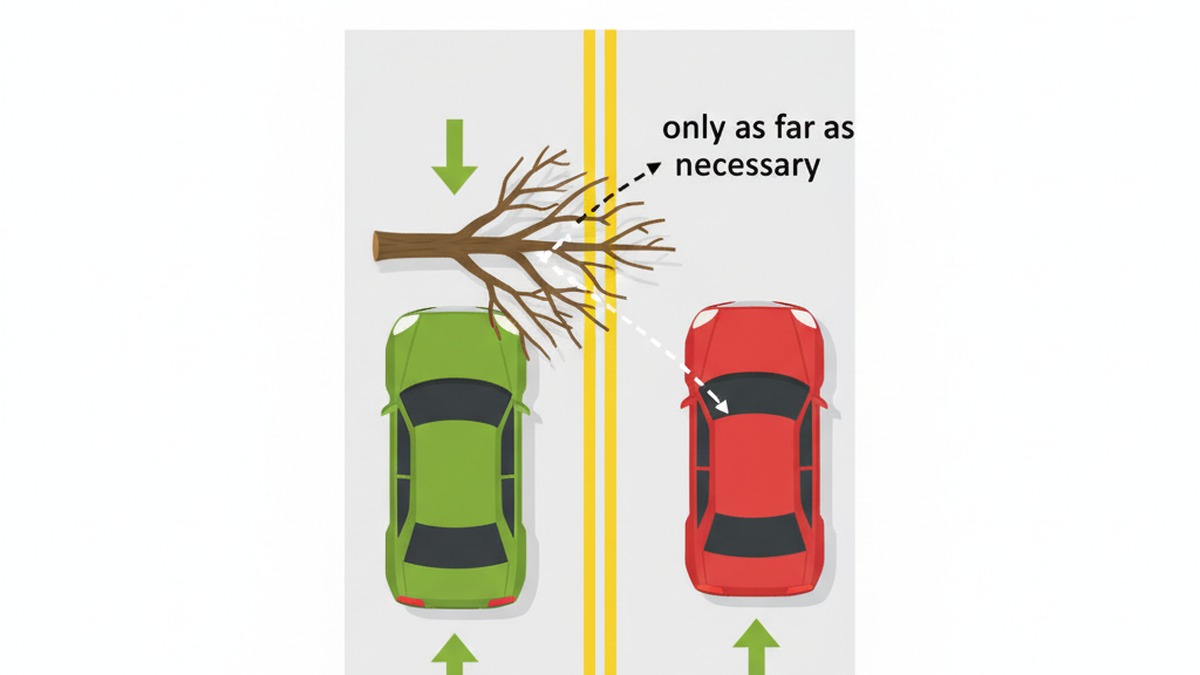 Florida obstruction avoidance across double yellow only as far as necessary
